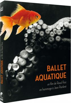 dvd-ballet-aquatique-de-raoul-ruiz